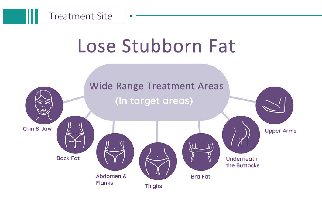 790236f9-83b3-40dc-b231-69d7788b0dc1